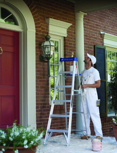 Louisville Ladder Louisville AS2100, 250 lb, 3 in Width X 3 in Depth Non-Conductive Rail, 5 Rung 6-Foot Aluminum Step Ladder, 250-Pound Capacity, AS2106, 6-Feet, 6 Ft