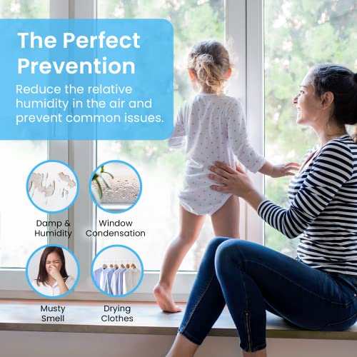 Pro Breeze Portable Dehumidifier, 225 sq ft Closet Dehumidifiers for Home, Mini Dehumidifiers for Room 16oz Tank Removes Humidity Bathroom Dehumidifier Small Dehumidifier for Bedroom, RV, Basement