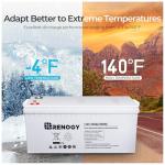 Renogy 12V 200Ah Deep Cycle AGM Battery