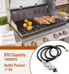 12FT 2-Stage Propane Regulator and Hose