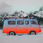 VEVOR 12V Bluetooth Diesel Air Heater for RVs