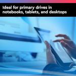 Western Digital 1TB Blue Mobile Hard Drive