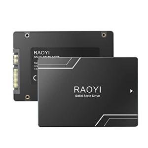 RAOYI 256GB SATA III SSD for PC and Laptop