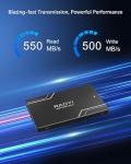 RAOYI 256GB SATA III SSD for PC and Laptop