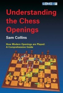 Mastering Chess Openings: A Guide for Players