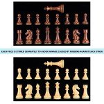 AMEROUS High Polymer Weighted Chess Pieces Set