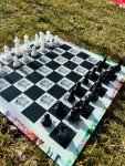 Elegant Glass Lion Chess Set with Epoxy Pieces
