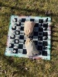 Elegant Glass Lion Chess Set with Epoxy Pieces