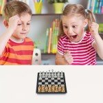 Mini Magnetic Chess Set with Folding Case – 3 in 1