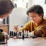 Harry Potter Hogwarts Wizard's Chess Set