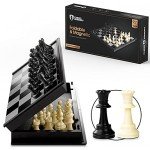 Magnetic 9.5-Inch Travel Chess Set with Storage