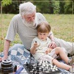 Magnetic 9.5-Inch Travel Chess Set with Storage