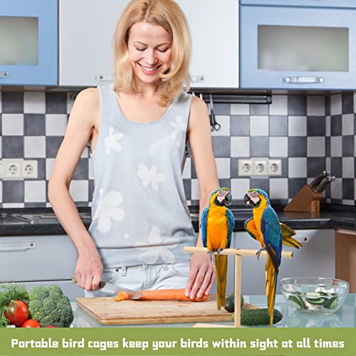 Parrot Training Kit with Clicker and Perch