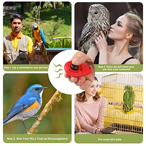 Parrot Training Kit with Clicker and Perch