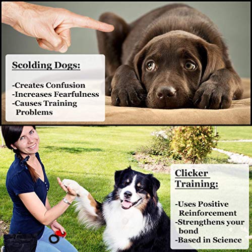 Parrot Clicker Training Kit, 2-Pack