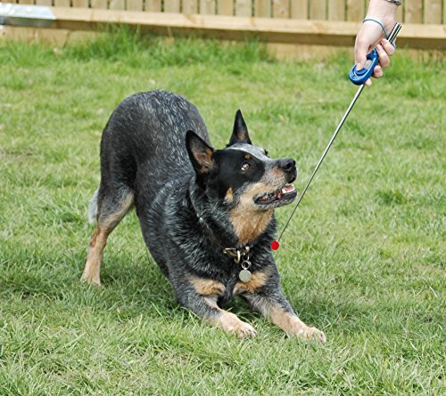 COA Target Stick