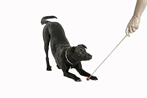COA Target Stick