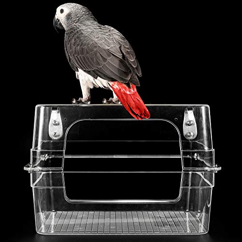 Large Bird Bath for Parrots
