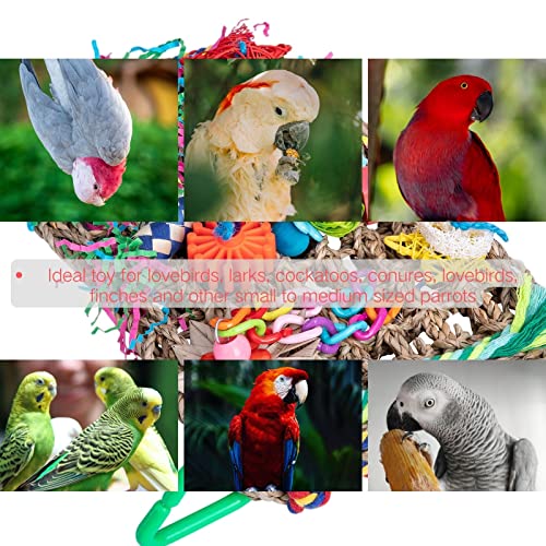 Seaweed Woven Bird Foraging Chew Toys