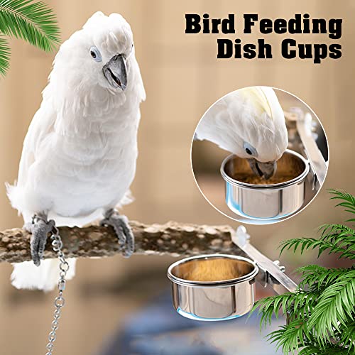 Stainless Steel Bird Feeding Cups (3-Pack)