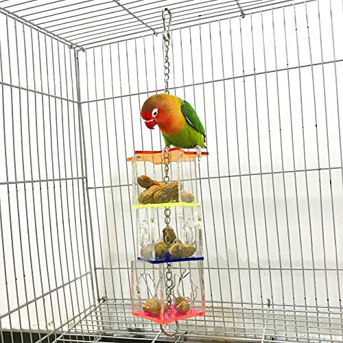 Creative Parrot Foraging Toys & Treat Box