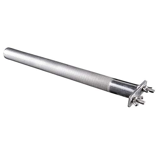 Stainless Steel Parrot Perch with Grinding Stick