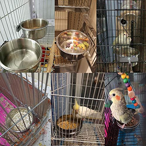 Parrot Stainless Steel Feeding Dish with Clamp (5-Pack)