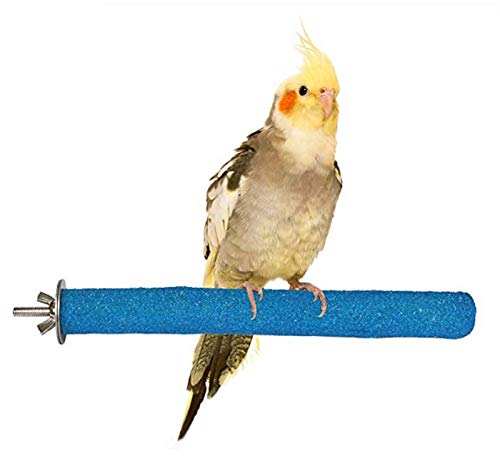 Parrot Stainless Steel Feeding Dish with Clamp (5-Pack)