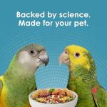 Kaytee Forti-Diet Pro Health Parrot with Safflower 4LB