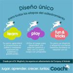 Telescopic Coachi Target Stick for Parrots