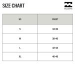 Billabong Men's Graphic Tee Two-Pack Set