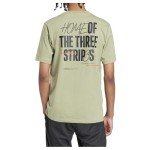 adidas Men's Signature Graphic T-Shirt in Tent Green