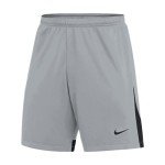 Nike Mens DRI-FIT US Classic II Shorts (XL, Grey)