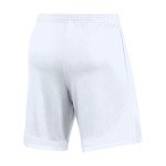 Nike Mens DRI-FIT US Classic II Shorts (XL, Grey)