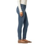 Levi Strauss Signature Gold Women's Totally Shaping Pull-on Skinny Jeans (Available in Plus Size), Sun Worshipper Signature, 12 Medium