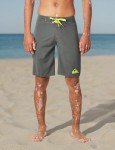 Quiksilver Men's Everyday 21 Board Short Swim Trunk Bathing Suit, Dark Shadow, 34