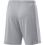 adidas Men's Squadra 21 Shorts, Team Light Grey/White, Medium