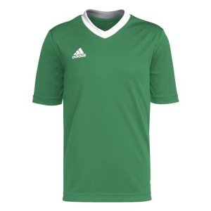 adidas Kids' Entrada 22 Jersey, Team Green/White, Medium