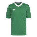 adidas Kids' Entrada 22 Jersey, Team Green/White, Medium