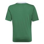 adidas Kids' Entrada 22 Jersey, Team Green/White, Medium