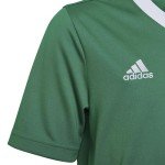 adidas Kids' Entrada 22 Jersey, Team Green/White, Medium