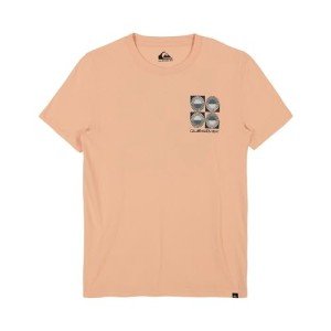 Quiksilver Boys' Short Sleeve Logo Graphic T-Shirt, Morning Sun, Large
