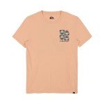 Quiksilver Boys' Short Sleeve Logo Graphic T-Shirt, Morning Sun, Large