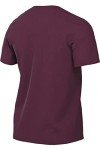 Nike Mens Team Legend Short Sleeve Crew T-Shirt (as1, Alpha, x_l, Regular, Regular, Team Maroon)