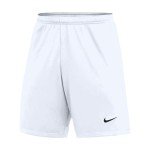 Nike Mens DRI-FIT US Classic II Shorts (Medium, Grey)