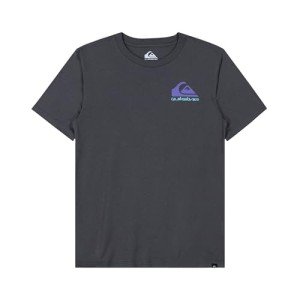 Quiksilver Boys' Short Sleeve Logo Graphic T-Shirt, Sunrise Bowl, 14-16