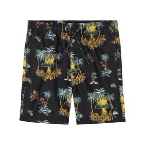Quiksilver Boys' Volley Swim Trunks with UPF 50+ Sun Protection, Quick Dry Bathing Suit Shorts, Black Scenic