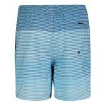 Quiksilver Boys' Volley Swim Trunks with UPF 50+ Sun Protection, Quick Dry Bathing Suit Shorts, Aqua Sky Massive