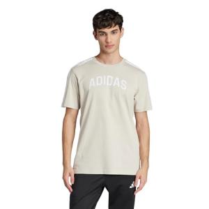 adidas Men's Codes Collegiate Linear Graphic T-Shirt, Wonder Alumina