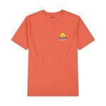 Billabong Boys' Red Graphic Crew Neck T-Shirt